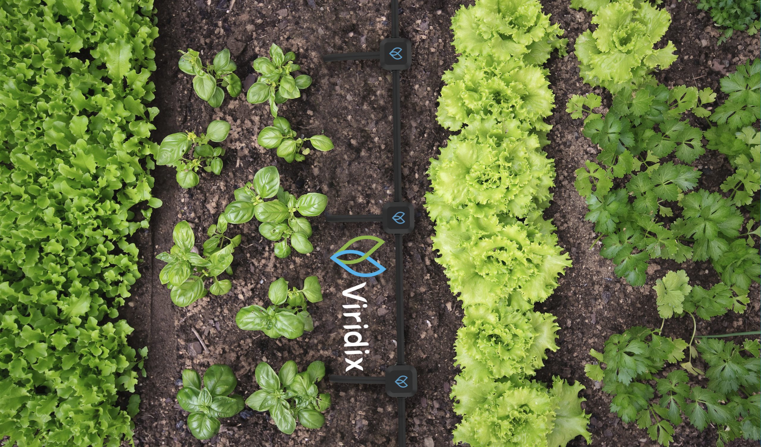 Viridix - Precision Irrigation from the Ground Up - SDG 2 - Social Impact Israel