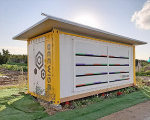 Beewise - Redesigning sustainable beehives, for the 21st century -SDG 15 - Social Impact Israel