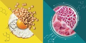 Investing in Alternative Proteins - SDG 2 -Social Impact Israel